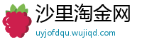 沙里淘金网